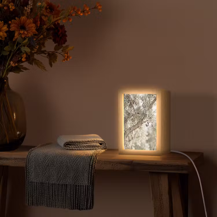 Lightbox - Wandlamp - Olijfboom - tak - groen - Olijfboom - tak - groen Light Box met kabel (Wandlamp) klein