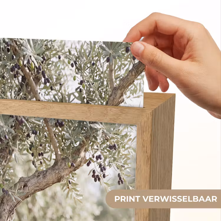 Lightbox - Wandlamp - Olijfboom - tak - groen - Olijfboom - tak - groen Light Box met kabel (Wandlamp) klein
