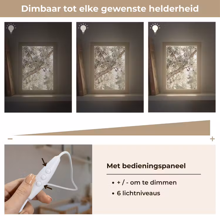 Lightbox - Wandlamp - Olijfboom - tak - groen - Olijfboom - tak - groen Light Box met kabel (Wandlamp) klein