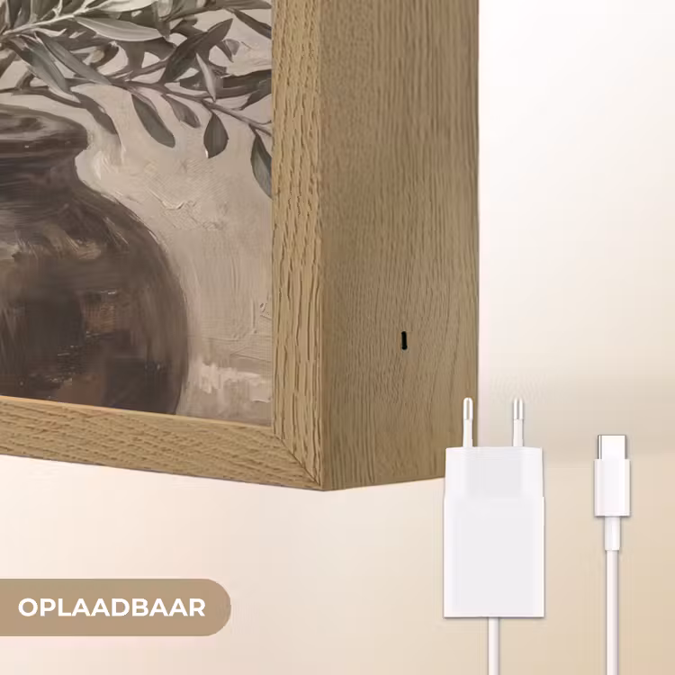 Olijfplant - Aardenpot - Abstract - Beige Light Box met batterij (Wandlamp) middel -USP_websiteoplaadbaarNL