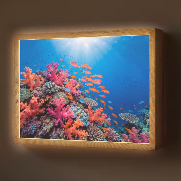 Onderwater - Koraalrif - Vissen - Oceaan - Natuur Light Box met batterij (Wandlamp) middel -z3d_website