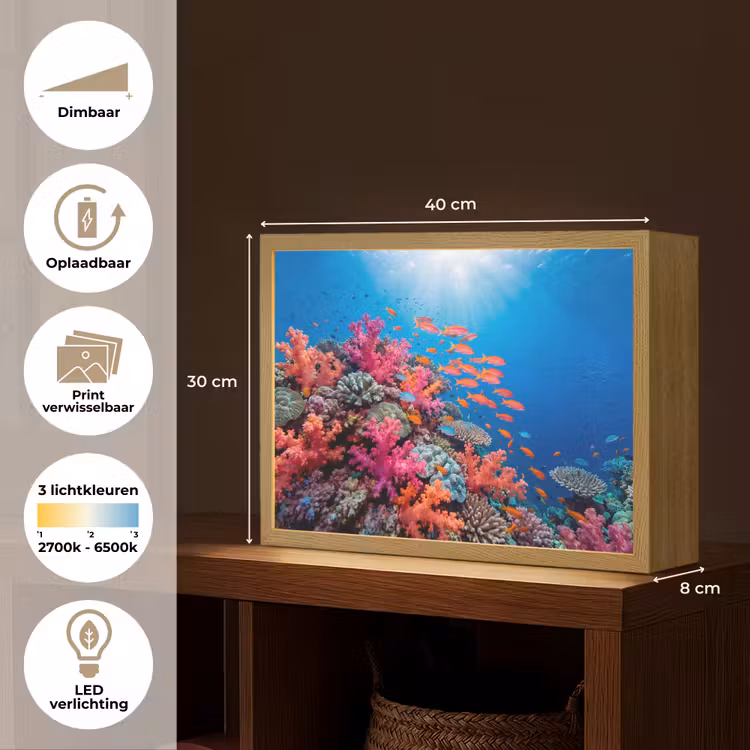 Onderwater - Koraalrif - Vissen - Oceaan - Natuur Light Box met batterij (Wandlamp) middel -USP_websiteoverzichtNL