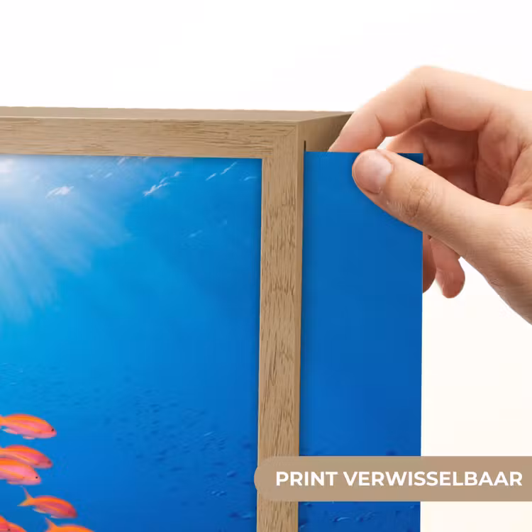 Onderwater - Koraalrif - Vissen - Oceaan - Natuur Light Box met batterij (Wandlamp) middel -USP_websiteprintNL