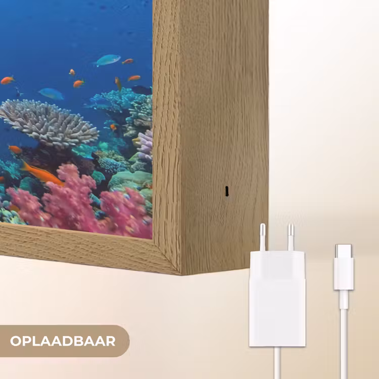 Onderwater - Koraalrif - Vissen - Oceaan - Natuur Light Box met batterij (Wandlamp) middel -USP_websiteoplaadbaarNL