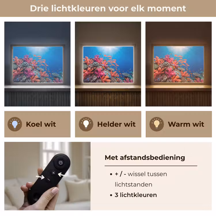 Onderwater - Koraalrif - Vissen - Oceaan - Natuur Light Box met batterij (Wandlamp) middel -USP_lichtkleurNL