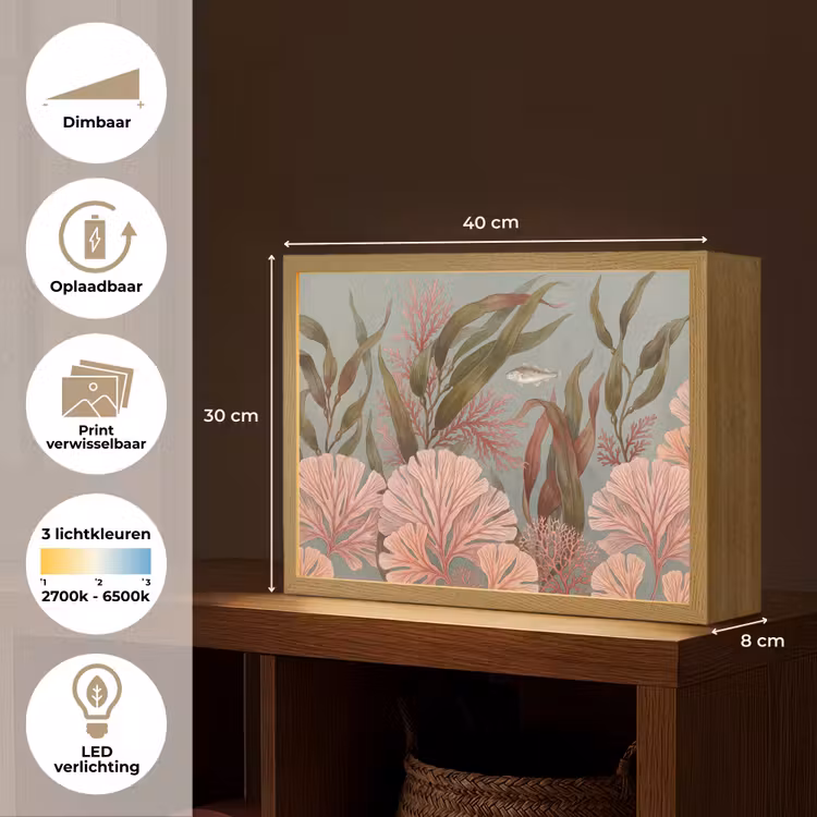 Onderwater - Planten - Vis - Vintage - Groen Light Box met batterij (Wandlamp) middel -USP_websiteoverzichtNL