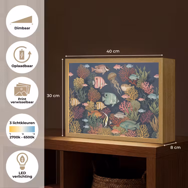 Onderwaterwereld - Vissen - Koraal - Illustratie - Kleurrijk Light Box met batterij (Wandlamp) middel -USP_websiteoverzichtNL