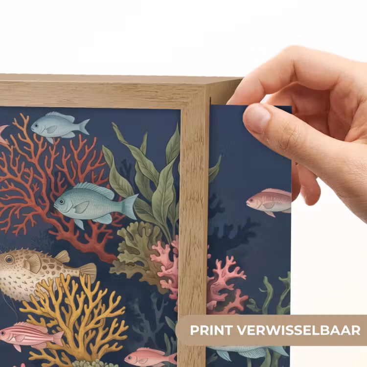 Onderwaterwereld - Vissen - Koraal - Illustratie - Kleurrijk Light Box met batterij (Wandlamp) middel -USP_websiteprintNL