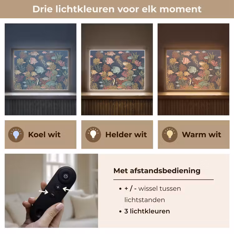 Onderwaterwereld - Vissen - Koraal - Illustratie - Kleurrijk Light Box met batterij (Wandlamp) middel -USP_lichtkleurNL
