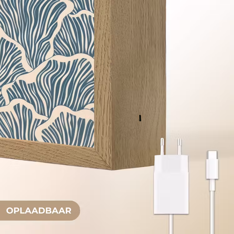 Organisch - Blauw - Crème - Schelpen Light Box met batterij (Wandlamp) middel 907 -USP_websiteoplaadbaarNL