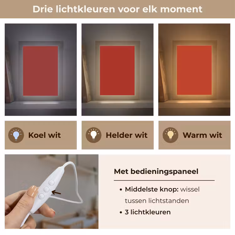 Oxblood - Maroon - Rood Light Box met kabel (Wandlamp) klein 929 -USP_lichtkleurNL