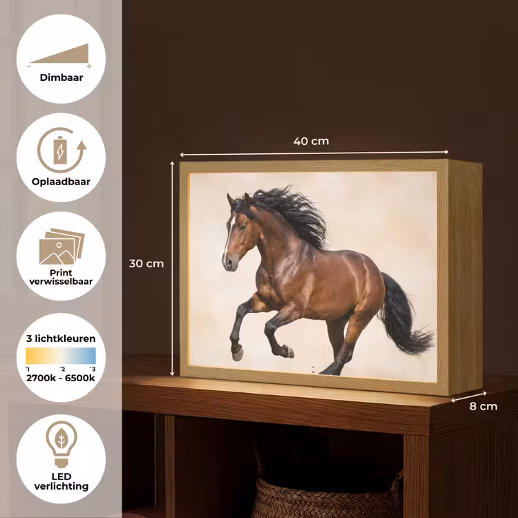 Paard - Galop - Energie Light Box met batterij (Wandlamp) middel -USP_websiteoverzichtNL