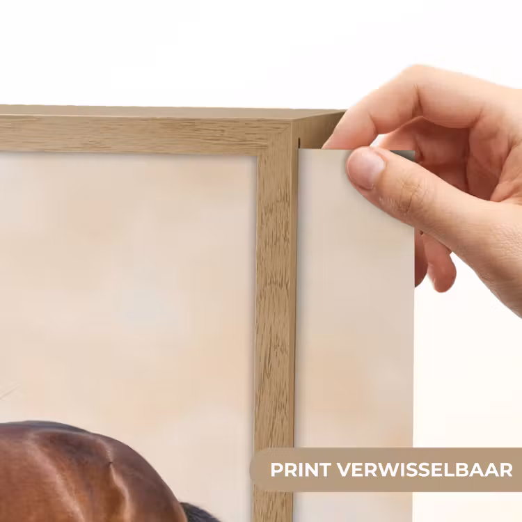 Paard - Galop - Energie Light Box met batterij (Wandlamp) middel -USP_websiteprintNL