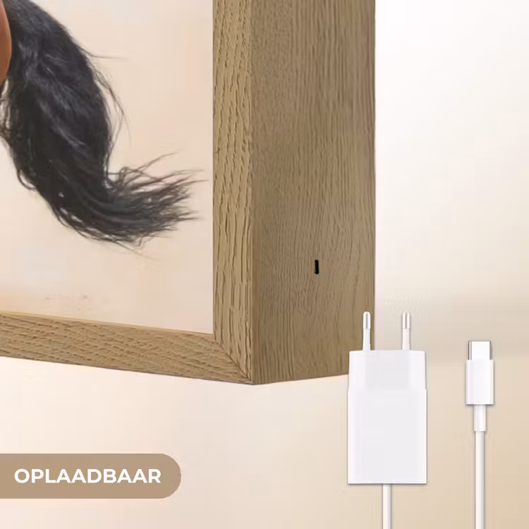 Paard - Galop - Energie Light Box met batterij (Wandlamp) middel -USP_websiteoplaadbaarNL