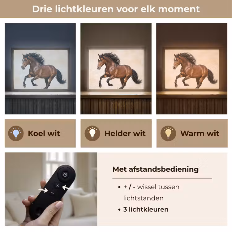 Paard - Galop - Energie Light Box met batterij (Wandlamp) middel -USP_lichtkleurNL