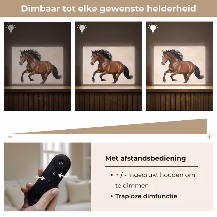 Paard - Galop - Energie Light Box met batterij (Wandlamp) middel -USP_dimbaarNL