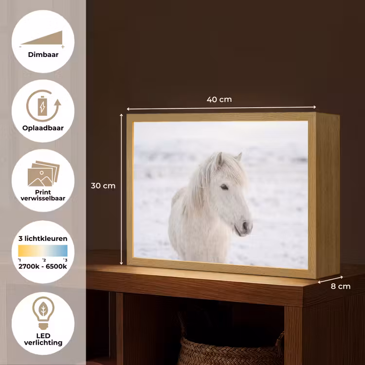 Paard - Kop - Winter - Dieren - Wit Light Box met batterij (Wandlamp) middel -USP_websiteoverzichtNL