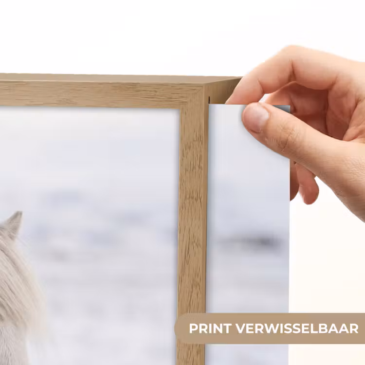 Paard - Kop - Winter - Dieren - Wit Light Box met batterij (Wandlamp) middel -USP_websiteprintNL