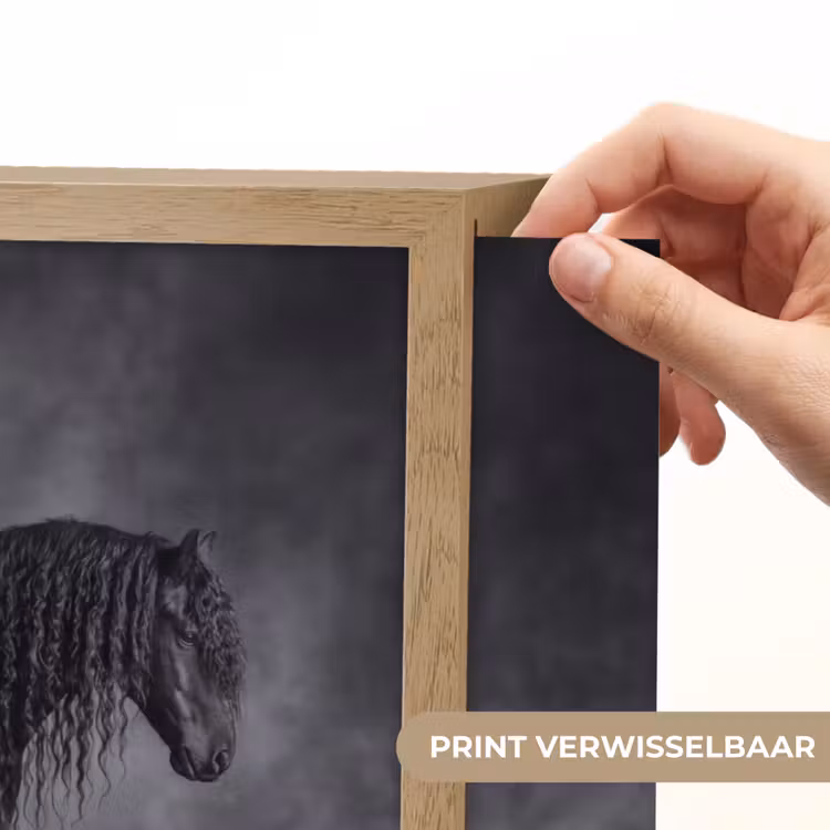 Paard - Magisch - Zwart Light Box met batterij (Wandlamp) middel -USP_websiteprintNL