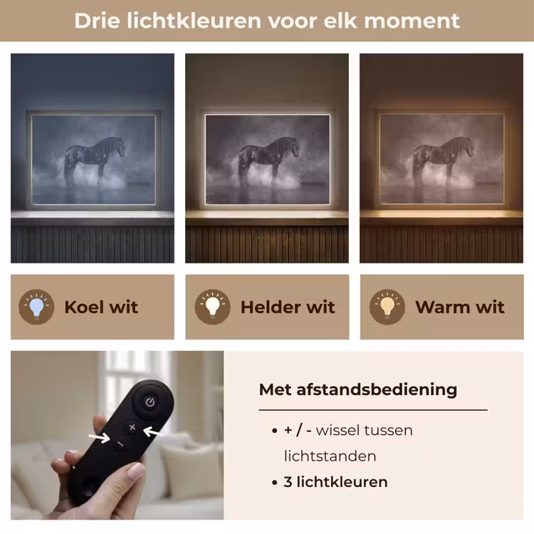 Paard - Magisch - Zwart Light Box met batterij (Wandlamp) middel -USP_lichtkleurNL