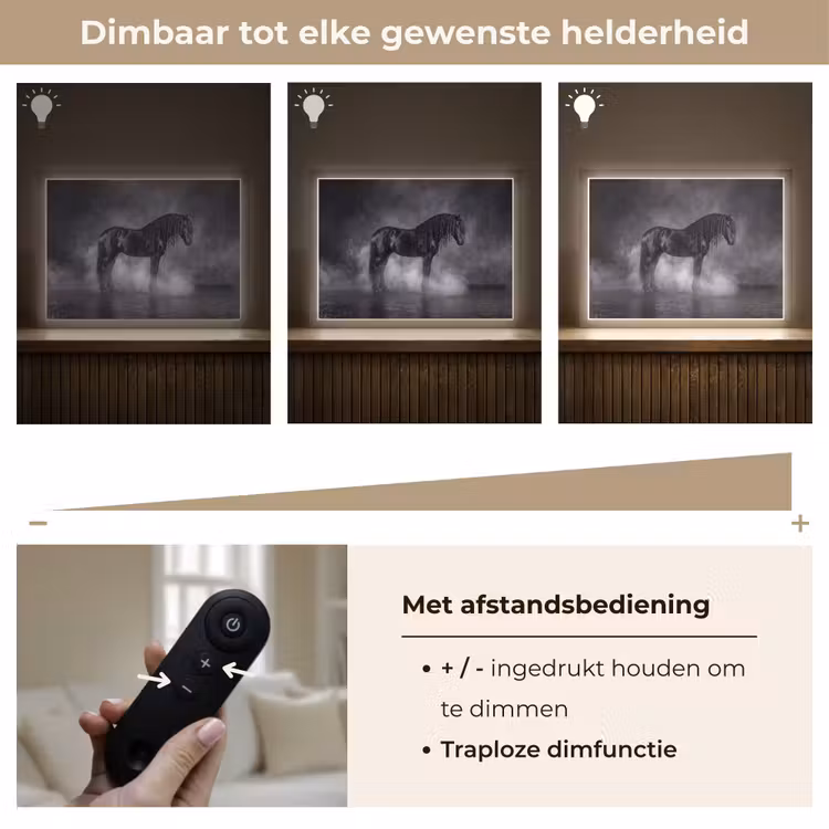 Paard - Magisch - Zwart Light Box met batterij (Wandlamp) middel -USP_dimbaarNL