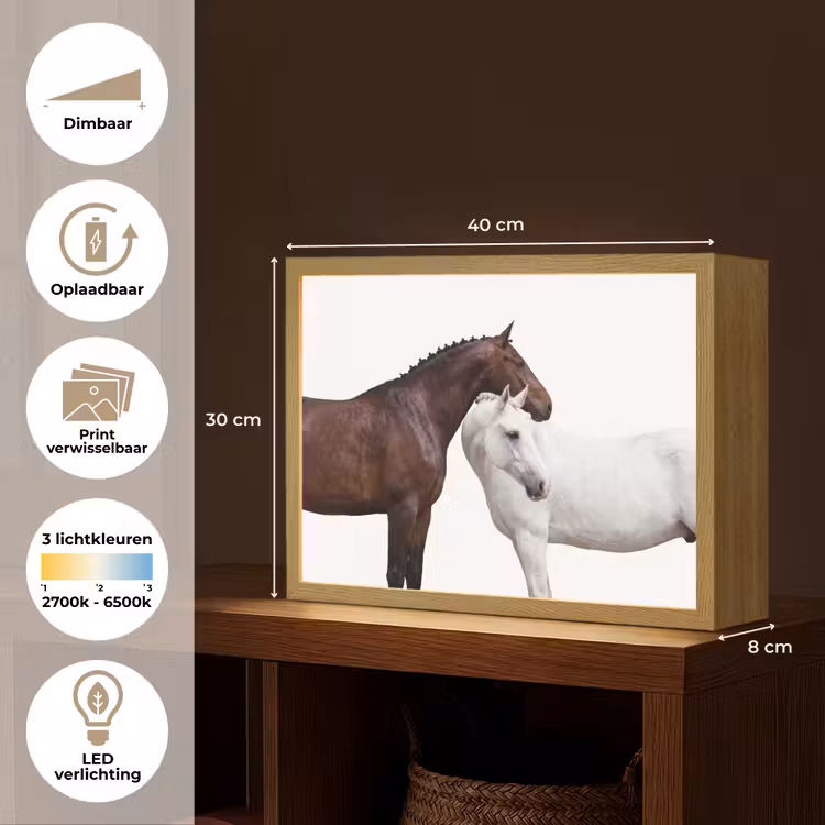 Paard - Modern - Balans Light Box met batterij (Wandlamp) middel -USP_websiteoverzichtNL