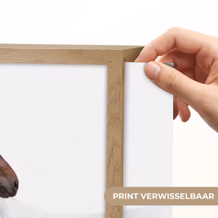 Paard - Modern - Balans Light Box met batterij (Wandlamp) middel -USP_websiteprintNL