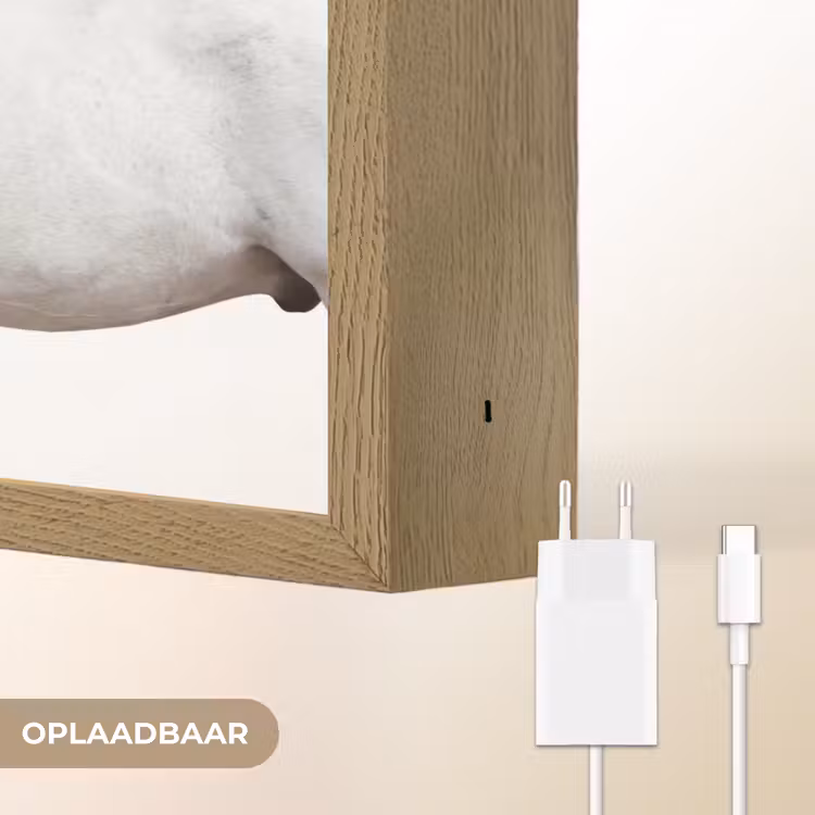 Paard - Modern - Balans Light Box met batterij (Wandlamp) middel -USP_websiteoplaadbaarNL