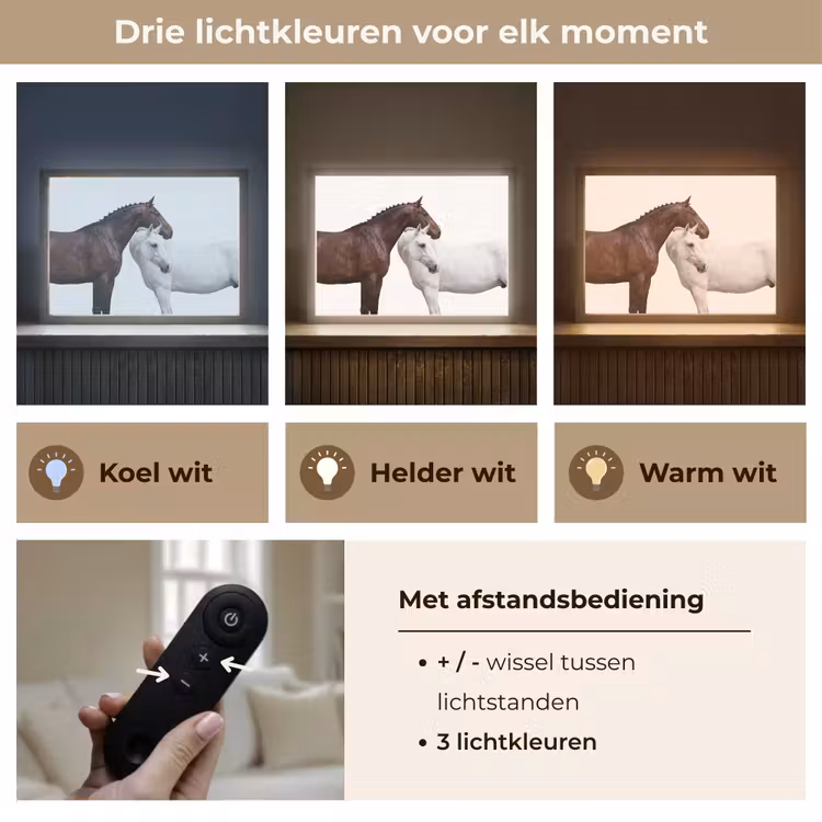 Paard - Modern - Balans Light Box met batterij (Wandlamp) middel -USP_lichtkleurNL
