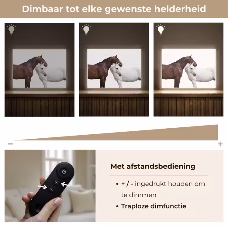 Paard - Modern - Balans Light Box met batterij (Wandlamp) middel -USP_dimbaarNL