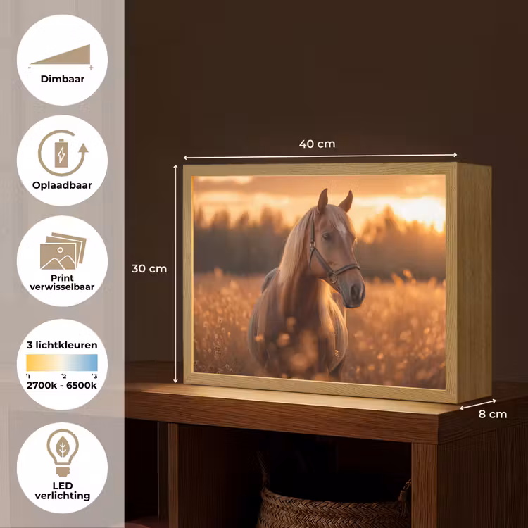 Paard - Natuur - Dier - Bruin - Dieren portret Light Box met batterij (Wandlamp) middel -USP_websiteoverzichtNL