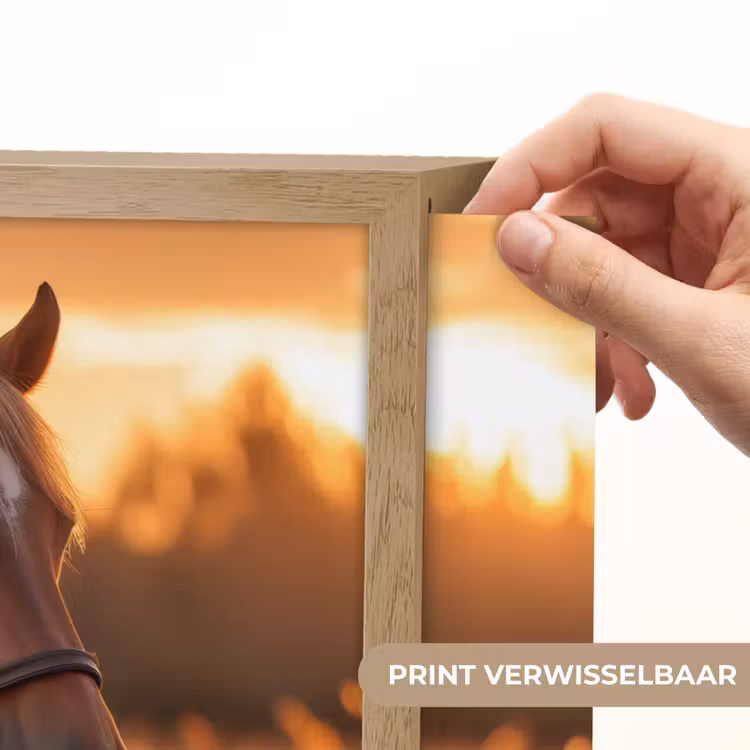 Paard - Natuur - Dier - Bruin - Dieren portret Light Box met batterij (Wandlamp) middel -USP_websiteprintNL