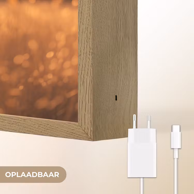 Paard - Natuur - Dier - Bruin - Dieren portret Light Box met batterij (Wandlamp) middel -USP_websiteoplaadbaarNL