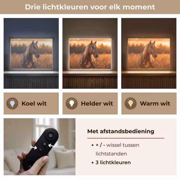 Paard - Natuur - Dier - Bruin - Dieren portret Light Box met batterij (Wandlamp) middel -USP_lichtkleurNL