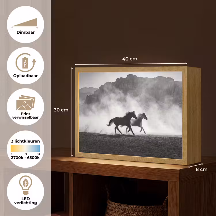 Paard - Ren - Stof - Zwart-wit - Dieren Light Box met batterij (Wandlamp) middel -USP_websiteoverzichtNL
