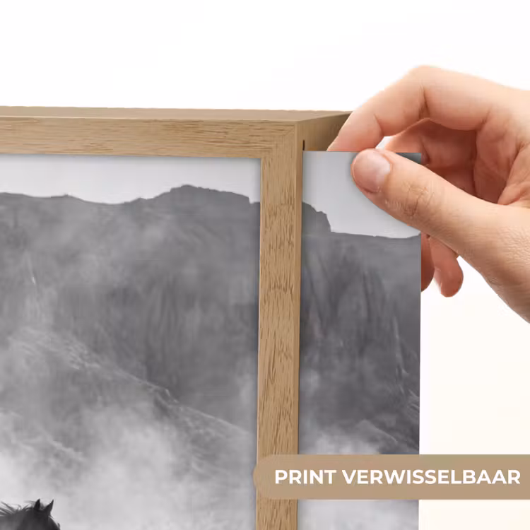 Paard - Ren - Stof - Zwart-wit - Dieren Light Box met batterij (Wandlamp) middel -USP_websiteprintNL