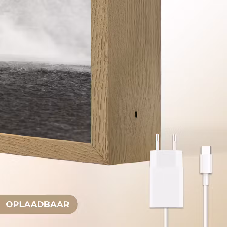 Paard - Ren - Stof - Zwart-wit - Dieren Light Box met batterij (Wandlamp) middel -USP_websiteoplaadbaarNL