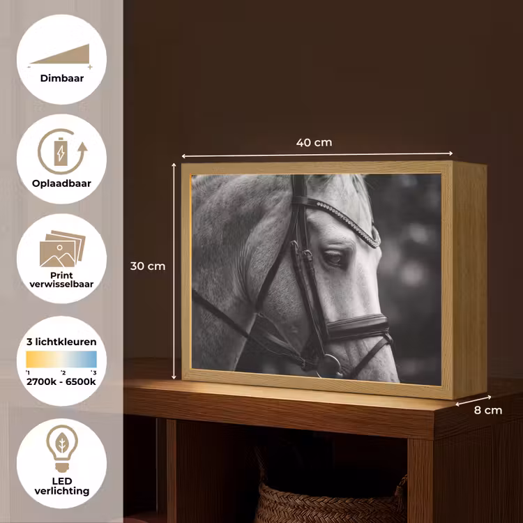 Paard - Schimmel - Portret Light Box met batterij (Wandlamp) middel -USP_websiteoverzichtNL