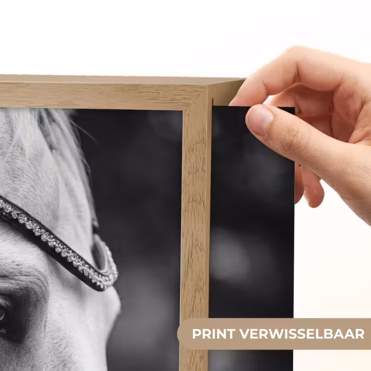 Paard - Schimmel - Portret Light Box met batterij (Wandlamp) middel -USP_websiteprintNL