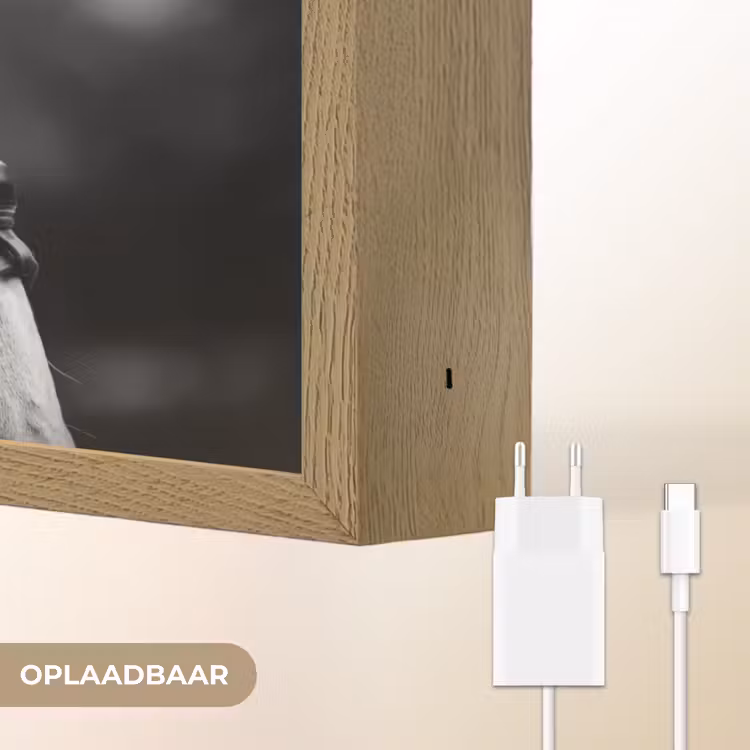 Paard - Schimmel - Portret Light Box met batterij (Wandlamp) middel -USP_websiteoplaadbaarNL