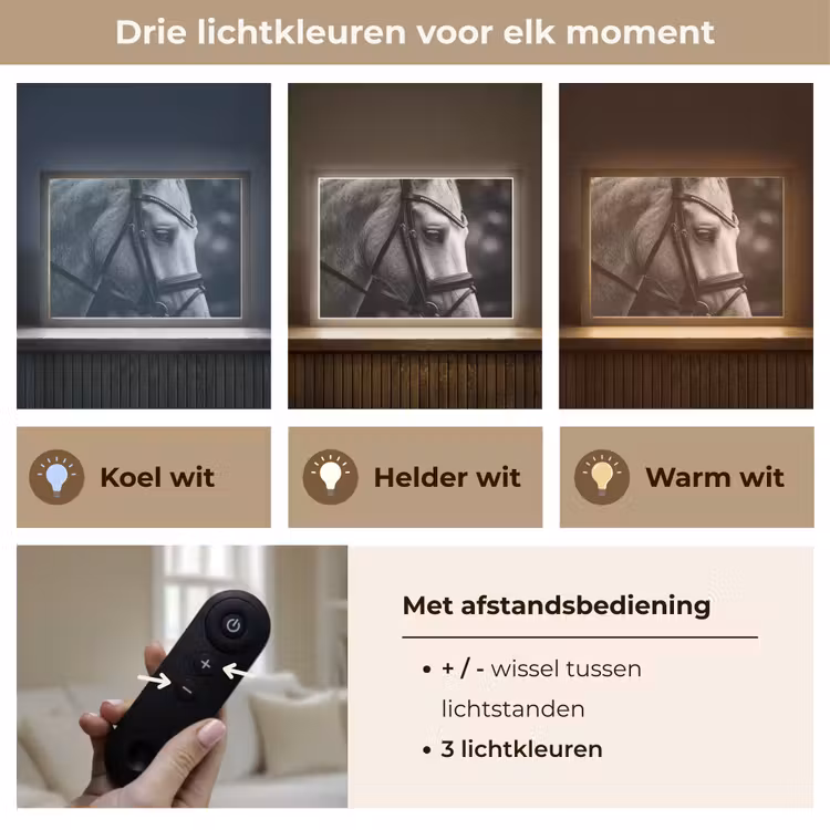 Paard - Schimmel - Portret Light Box met batterij (Wandlamp) middel -USP_lichtkleurNL