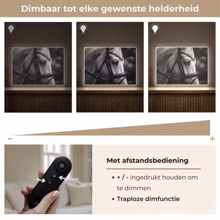 Paard - Schimmel - Portret Light Box met batterij (Wandlamp) middel -USP_dimbaarNL