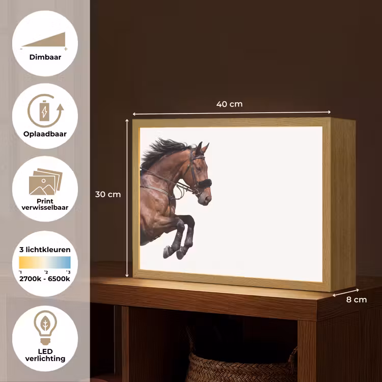 Paard - Springen - Modern Light Box met batterij (Wandlamp) middel -USP_websiteoverzichtNL
