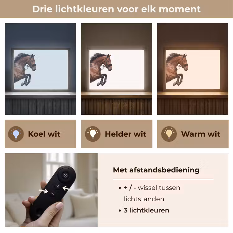 Paard - Springen - Modern Light Box met batterij (Wandlamp) middel -USP_lichtkleurNL