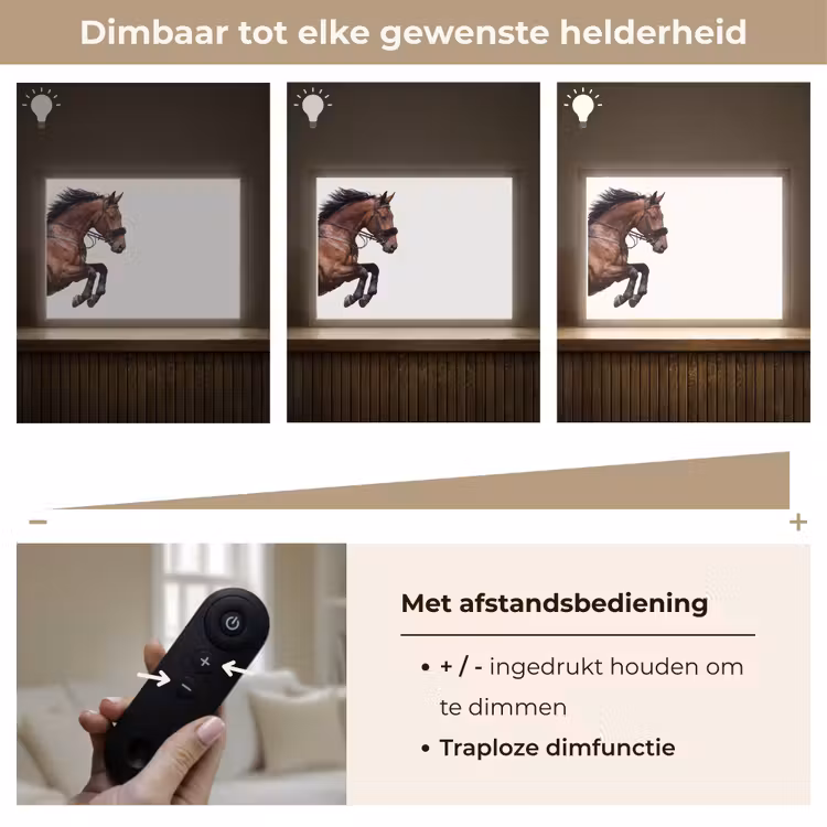 Paard - Springen - Modern Light Box met batterij (Wandlamp) middel -USP_dimbaarNL