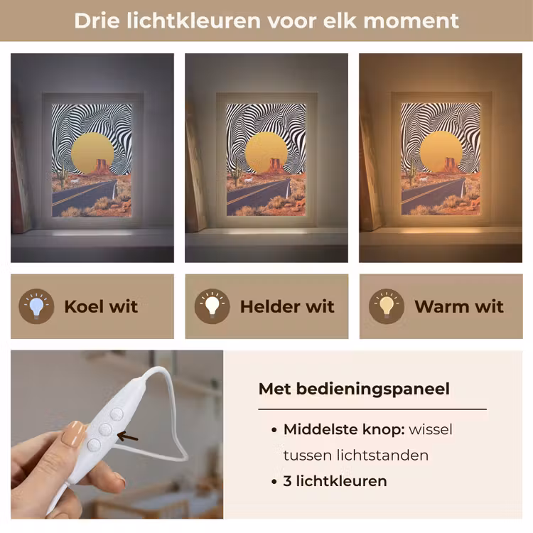 Lightbox - Wandlamp - Paard - Woestijn - Natuur - Paard - Woestijn - Natuur Light Box met kabel (Wandlamp) klein
