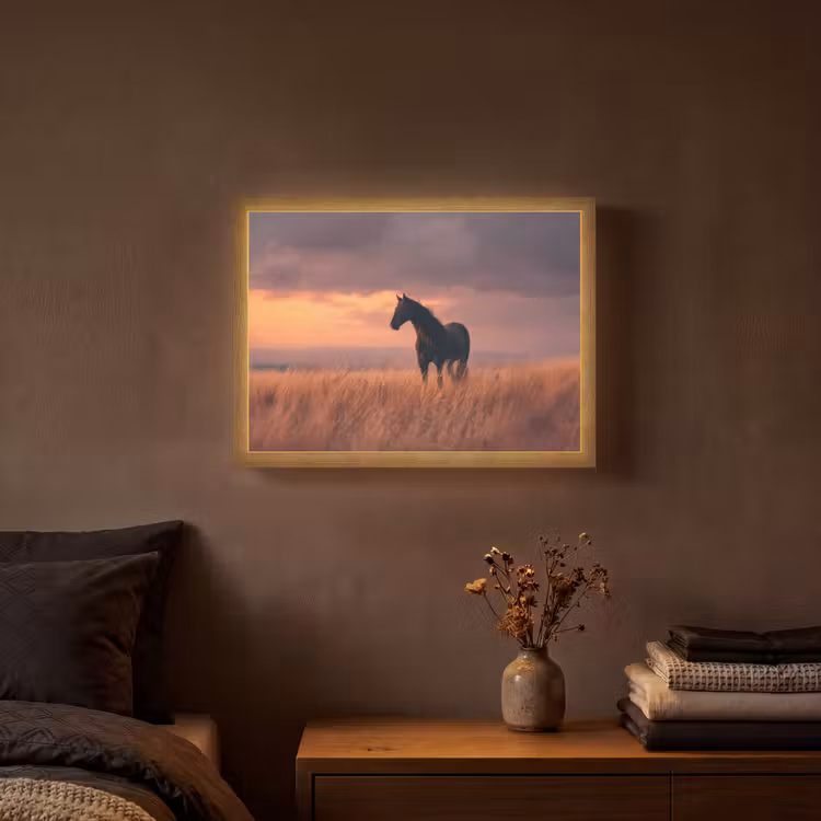 Paard - Wolken - Open veld Light Box met batterij (Wandlamp) middel -sfeer4