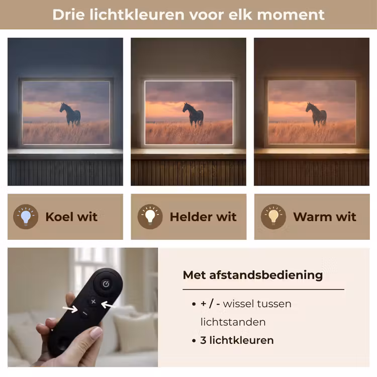 Paard - Wolken - Open veld Light Box met batterij (Wandlamp) middel -USP_lichtkleurNL