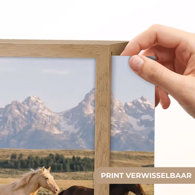 Paarden - Kudde - Bergen - Vrijheid - Wild Light Box met batterij (Wandlamp) middel -USP_websiteprintNL
