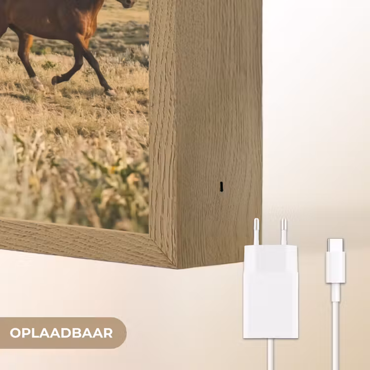 Paarden - Kudde - Bergen - Vrijheid - Wild Light Box met batterij (Wandlamp) middel -USP_websiteoplaadbaarNL
